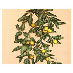 A Vintage Bunch Of Lemons Double Sided Flano Blanket (medium)  by ConteMonfrey