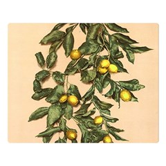 A Vintage Bunch Of Lemons Double Sided Flano Blanket (large)  by ConteMonfrey