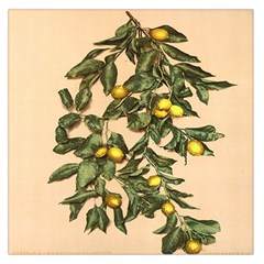 A Vintage Bunch Of Lemons Square Satin Scarf (36  X 36 ) by ConteMonfrey