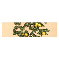 A Vintage Bunch Of Lemons Oblong Satin Scarf (16  X 60 ) by ConteMonfrey