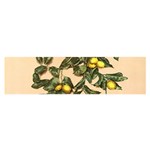 A vintage bunch of lemons Oblong Satin Scarf (16  x 60 ) Front