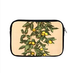 A Vintage Bunch Of Lemons Apple Macbook Pro 15  Zipper Case by ConteMonfrey