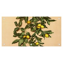 A Vintage Bunch Of Lemons Banner And Sign 6  X 3  by ConteMonfrey