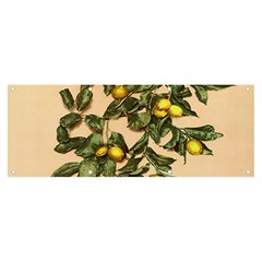 A Vintage Bunch Of Lemons Banner And Sign 8  X 3 