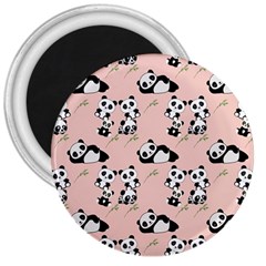 Pattern Panda Bear 3  Magnets