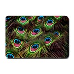 Peacock Feathers Color Plumage Small Doormat  24 x16  Door Mat