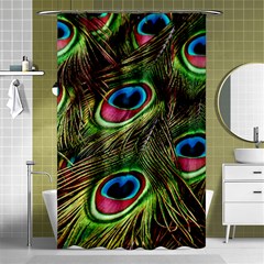 Peacock Feathers Color Plumage Shower Curtain 48  X 72  (small)  by Celenk