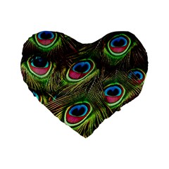 Peacock Feathers Color Plumage Standard 16  Premium Heart Shape Cushions by Celenk