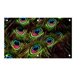 Peacock Feathers Color Plumage Banner and Sign 5  x 3  Front