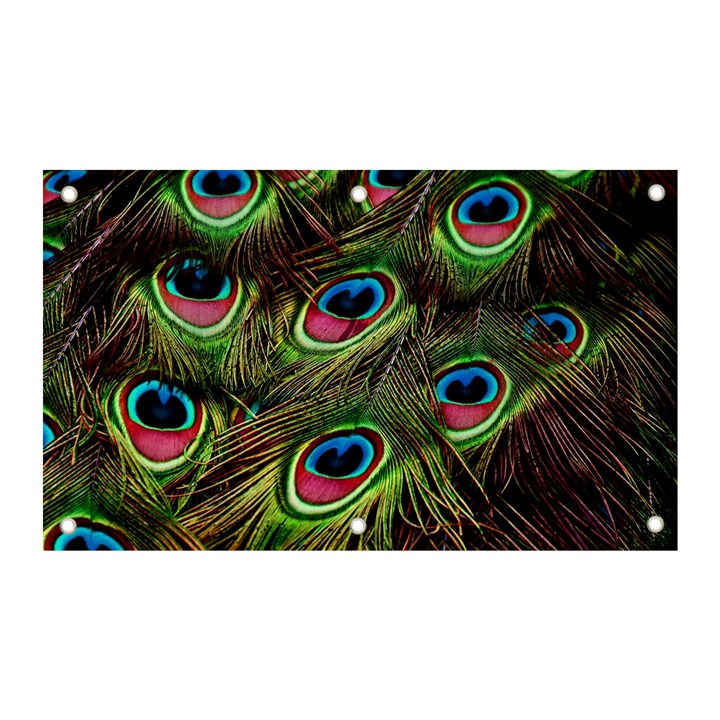 Peacock Feathers Color Plumage Banner and Sign 5  x 3 