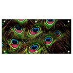 Peacock Feathers Color Plumage Banner and Sign 6  x 3  Front