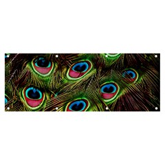 Peacock Feathers Color Plumage Banner And Sign 8  X 3  by Celenk