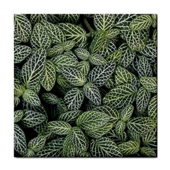 Leaves Foliage Botany Plant Tile Coaster by Ravend