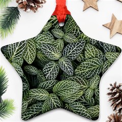 Leaves Foliage Botany Plant Ornament (star) by Ravend