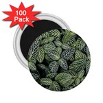 Leaves Foliage Botany Plant 2.25  Magnets (100 pack)  Front