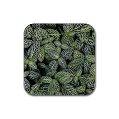 Leaves Foliage Botany Plant Rubber Coaster (square) by Ravend