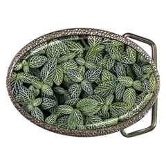 Leaves Foliage Botany Plant Belt Buckles