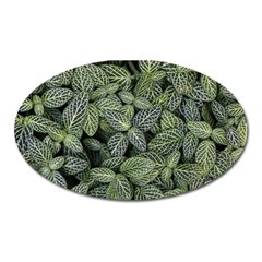 Leaves Foliage Botany Plant Oval Magnet by Ravend