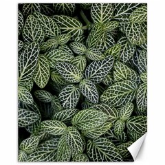 Leaves Foliage Botany Plant Canvas 11  X 14  by Ravend