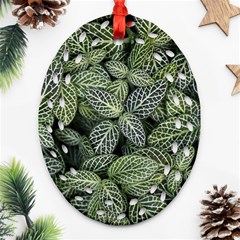 Leaves Foliage Botany Plant Ornament (oval Filigree) by Ravend