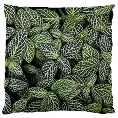 Leaves Foliage Botany Plant Large Cushion Case (one Side) by Ravend