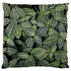 Leaves Foliage Botany Plant Standard Flano Cushion Case (one Side) by Ravend