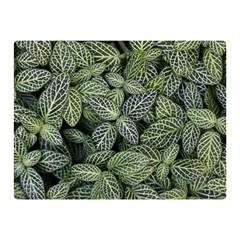 Leaves Foliage Botany Plant Double Sided Flano Blanket (mini)  by Ravend