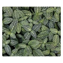 Leaves Foliage Botany Plant Double Sided Flano Blanket (small)  by Ravend