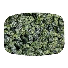 Leaves Foliage Botany Plant Mini Square Pill Box by Ravend