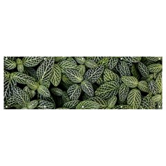 Leaves Foliage Botany Plant Banner And Sign 12  X 4 