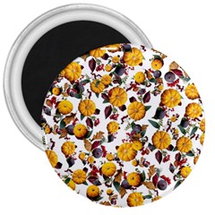 Pumpkin Fruit Flower Pattern 3  Magnets by Ravend