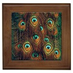 Peacock Feathers Framed Tile Front