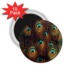 Peacock Feathers 2.25  Magnets (10 pack) 