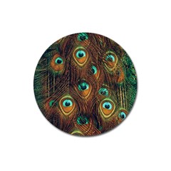 Peacock Feathers Magnet 3  (Round)