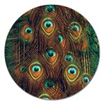 Peacock Feathers Magnet 5  (Round) Front