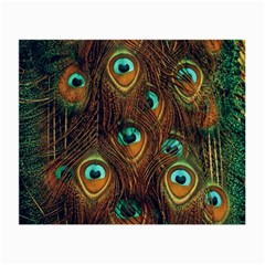 Peacock Feathers Small Glasses Cloth