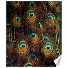 Peacock Feathers Canvas 20  x 24 