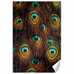 Peacock Feathers Canvas 20  x 30 