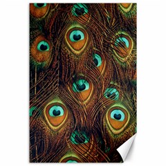 Peacock Feathers Canvas 24  x 36 