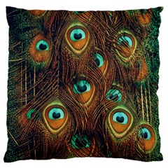 Peacock Feathers Large Cushion Case (Two Sides)