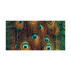 Peacock Feathers Yoga Headband