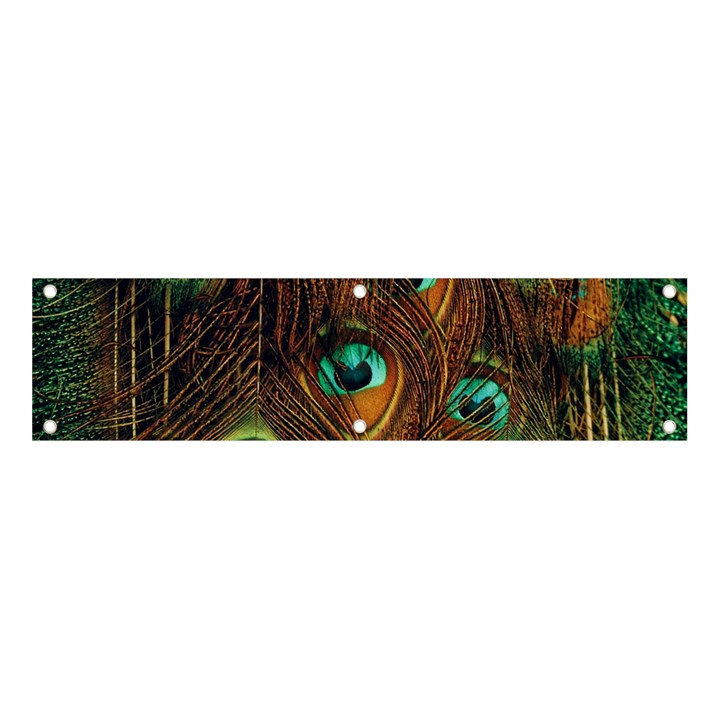 Peacock Feathers Banner and Sign 4  x 1 