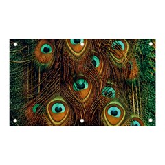 Peacock Feathers Banner and Sign 5  x 3 