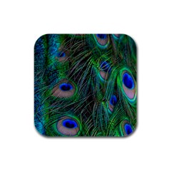 Beautiful Peacock Feathers Rubber Square Coaster (4 Pack) by Ravend