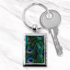 Beautiful Peacock Feathers Key Chain (rectangle) by Ravend