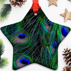 Beautiful Peacock Feathers Star Ornament (two Sides) by Ravend