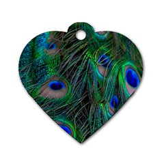 Beautiful Peacock Feathers Dog Tag Heart (two Sides)