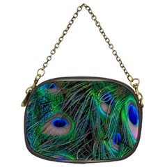 Beautiful Peacock Feathers Chain Purse (two Sides) by Ravend