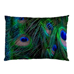 Beautiful Peacock Feathers Pillow Case by Ravend