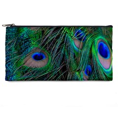 Beautiful Peacock Feathers Pencil Case by Ravend